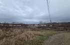 Teren intravilan,dublu front,Paleu,Oradea,Bihor - 5