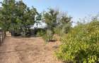 Casa 70 mp, 1700 mp teren, sat Tarnava - 6
