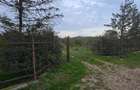 LIVADA  DE VANZARE FOCSANI-DUMBRAVITA  1,8  HA - 7
