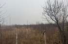 COMISION 0 | Teren intravilan | 17.700 mp | Zona Freidorf - 3