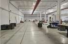 Spatiu Industrial - 3300 mp - Productie - Depozitare - Distributie - 1