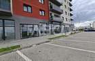 Apartament de vanzare cu 2 camere in Lup Residence Doamna Stanca - 7
