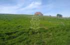 Teren 2500 mp-ideal agricultura/cabane/sera-panorama-Monariu - 4