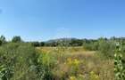 Teren 4100 mp - oportunitate investitie - Bistrita Zona Ranahum - 6
