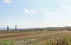 Teren de vanzare la drumul judetean, Pericei, zona Keller. - 2