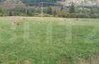 Teren intravilan, 1.000 mp, zona Vatra Dornei - 1