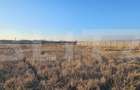 Teren intravilan 1677 mp în Băcia - 1