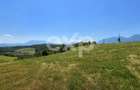 PANORAMA POIANA MĂRULUI | Teren cu potențial de dezvoltare - 4