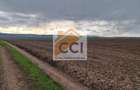 Teren 10,000mp Bacau / Strada Alexandru Safran - 13