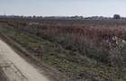 OCAZIE : INTRAVILAN com. MURIGHIOL - 19 euro/m.p. Deschidere Dunare  74 m. - 9