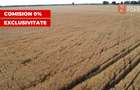 COMISION 0% Teren de vanzare intravilan de 24.700 mp - Padureni - 10