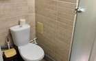 Inchiz apartament 3 camere | Crangasi - 9