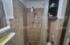 Casa cu 2 camere, 65 mp, teren 2910 mp, in Viile Satu Mare - 17