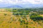 Teren extravilan de vânzare - Valea Avrigului, Sibiu - 12