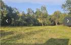 Casa de locuit 10 camere + 2479 mp teren, Loc. Izbuc, jud. Bihor - 11