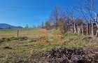 Teren intravilan de 4.000 mp în Bistrița – Alexandru cel Bun - 5