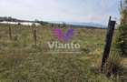 Teren extravilan 1500 mp Selimbar-langa troita - 3