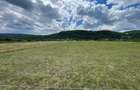 TEREN INTRAVILAN 8000 MP | PARTIAL IMPREJMUIT | PESTERE | BIHOR | - 2