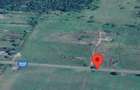 Teren localitatea Petris, Arad - 1