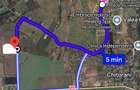 Teren Intravilan 1.73 Ha Bucov lângă Casa Timiș | Deschidere 70m la asfalt  - 2