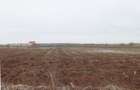 Teren 4000 mp lângă Pădurea Petrești | Investiție dezvoltare | Corbeanca - 6