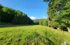 Teren Intravilan 12000 mp, Cascada Urlatoarea, proiect aprobat pentru Resort, la - 15