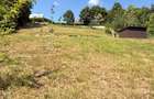 Valea Rosie, teren intravilan 3434mp, langa padure. - 7