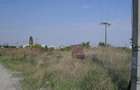 Teren , curti constructii , Arad Zona Gai - 4