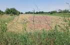 Săbăreni, teren intravilan 665 mp, aproape de DJ 602 - 2
