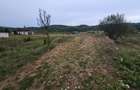 Teren localitatea Balata - 3
