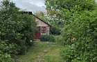 Domeniu rural, gospodarie/multifunctionala cu casa, livada, vie - 30