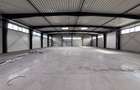 Hală industrială nouă depozitare de inchiriat Zona Industrială Sânandrei DN69 - 10