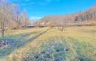 Propriete superbă la marginea pădurii în Râșnov Primăverii 5,000 mp - 4
