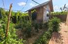 Duplex P+M cu 3 camere și curte, renovata complet - 20