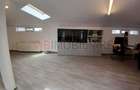 Loft spatios la Cismigiu - 3