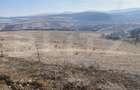 Teren extravilan in suprafata de 140551 mp in loc. Recea - 10