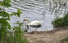 Moara Vlasiei - 11.000 mp, deschidere lac 36 m, priveliste superba - 1