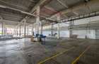 DE VANZARE spatiu industrial 6600mp | Buftea - 12
