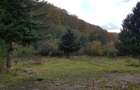 Teren intravilan ideal si de investitie, in Loc. Resita, strada Ciresului - 1
