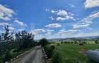 Teren intravilan, 1000 mp, zona Treznea - 9