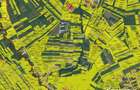 Teren Cordos, zona hale Avicola, 775 mp, extravilan Cluj, Utr - TDA - 4