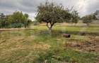 Teren intravilan 1300 mp, front 27 ml, Adancata - Suceava - 1