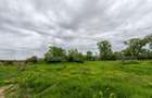 Teren intravilan 6010 mp, zona Sebes - 5
