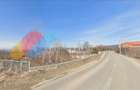 Teren intravilan, 1000 Mp, intrare Salicea - 2