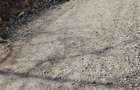Teren Intravilan 1340 mp -5minute de Casa Armatei 6500eur/ar neg - 1