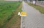 Teren pentru P+2 Alba-Micesti 3636 mp - 1