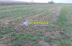 Teren Intravilan 5000 mp Zona Soseaua de Centura, Alba Iulia - 1