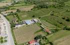 CRAMĂ PREMIUM DE VÂNZARE -60 HA- CONAC ISTORIC- PODGORIA DRĂGĂȘANI - 5