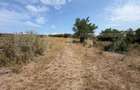 Teren extravilan de vanzare, 60402 mp, zona Archia - 1