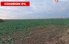COMISION 0% Teren extravilan 20.000 mp la sosea in Sag  - 1